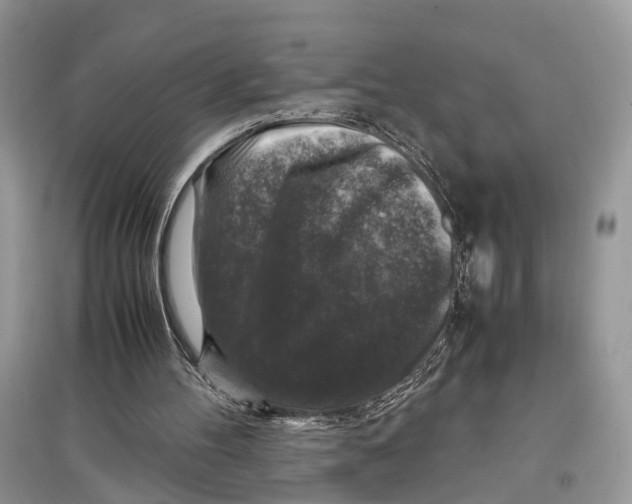 X0000097300100200803071800