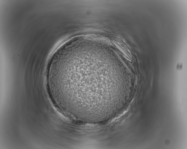 X0000097300101200803071800