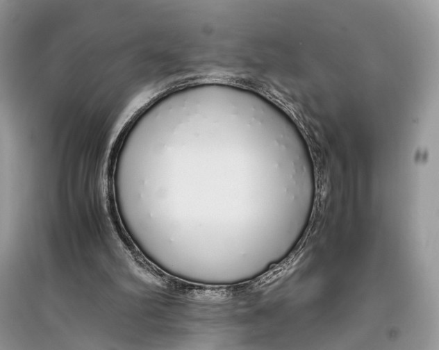 X0000097300102200803071800