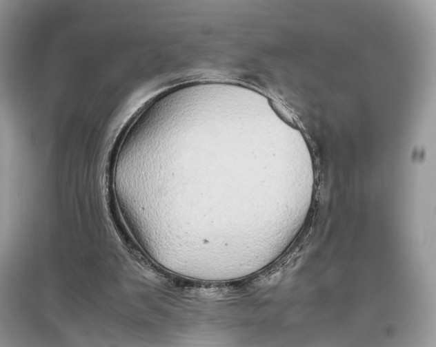 X0000097300103200803071800