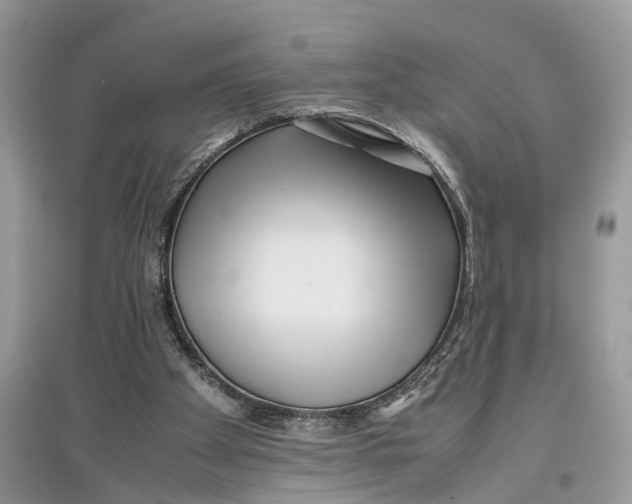 X0000097300105200803071800