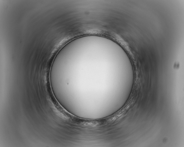 X0000097300106200803071800