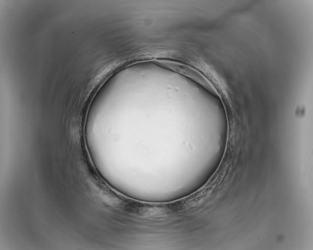 X0000097300107200803071800