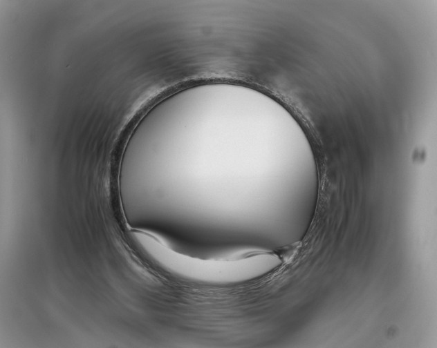 X0000097300108200803071800