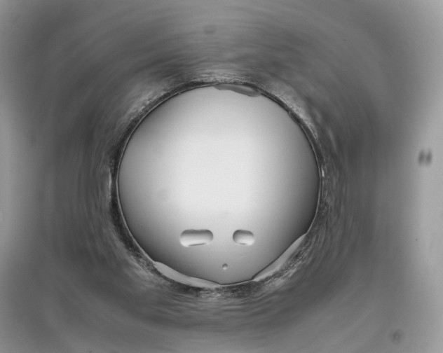 X0000097300109200803071800