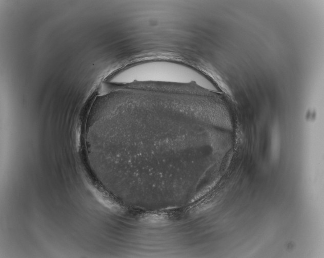 X0000097300110200803071800