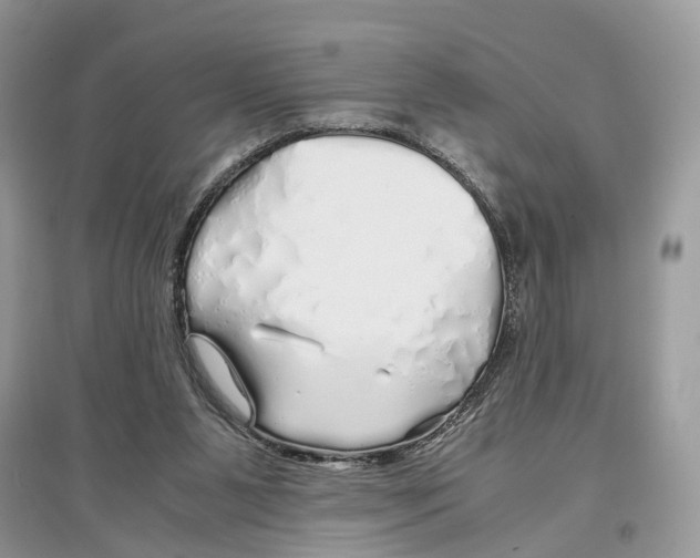 X0000097300111200803071800