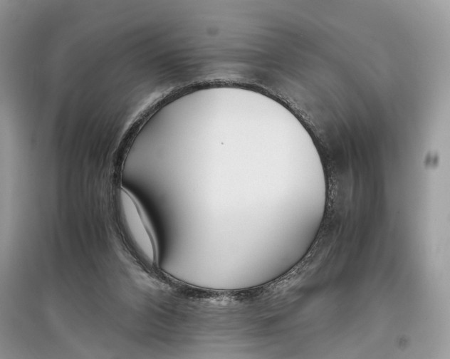 X0000097300112200803071800