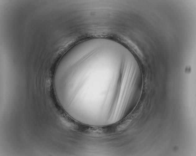 X0000097300113200803071800