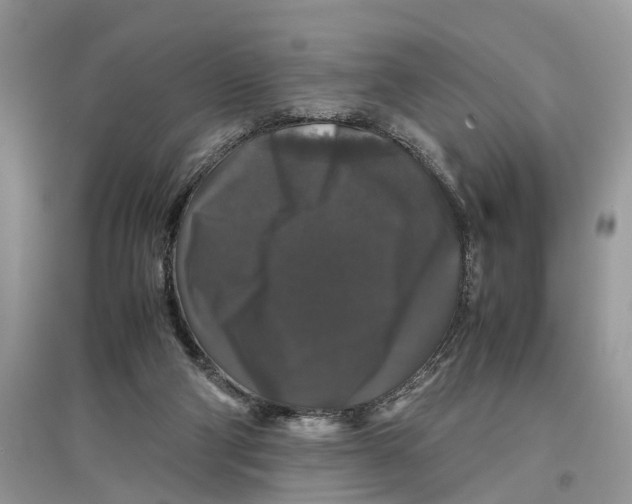 X0000097300114200803071800