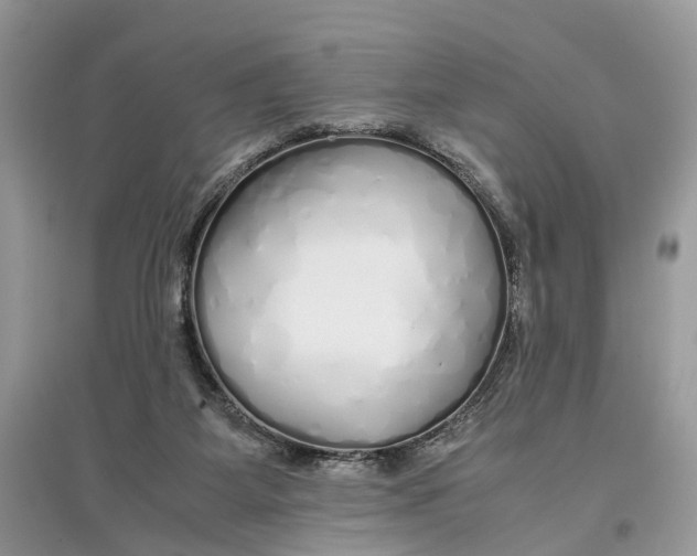 X0000097300115200803071800