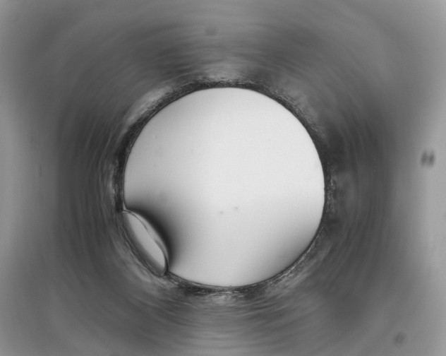 X0000097300116200803071800