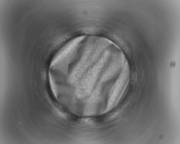 X0000097300117200803071800