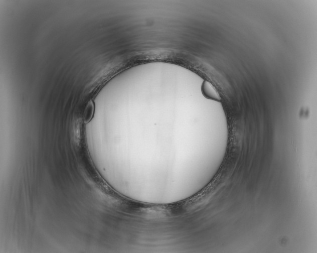 X0000097300118200803071800