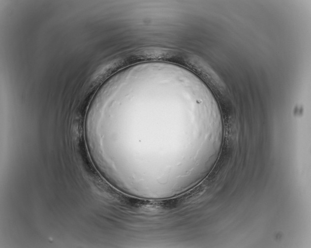 X0000097300119200803071800