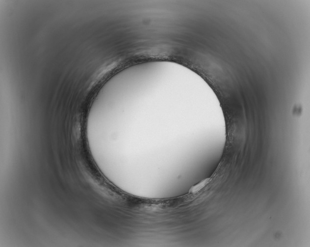 X0000097300120200803071800