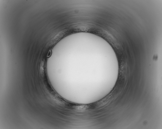 X0000097300122200803071800