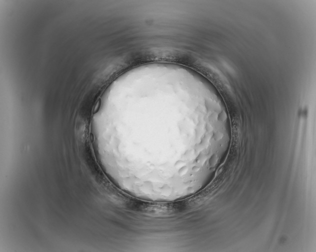 X0000097300123200803071800