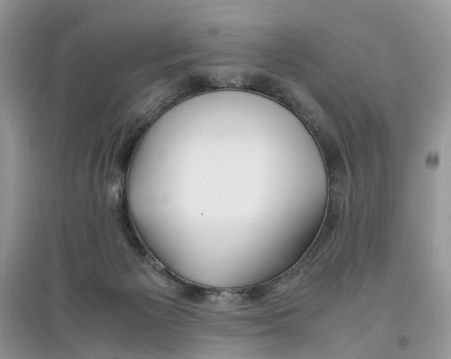 X0000097300125200803071800