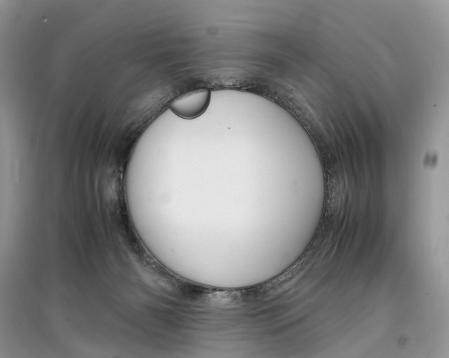 X0000097300126200803071800