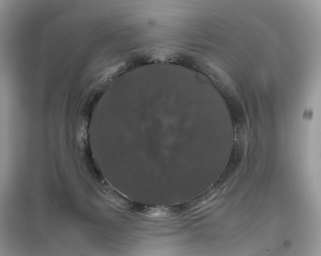 X0000097300127200803071800