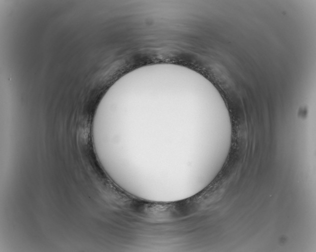 X0000097300129200803071800