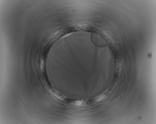 X0000097300130200803071800