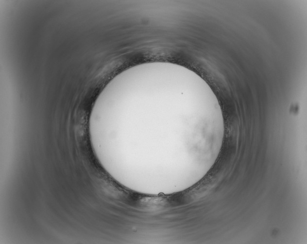 X0000097300133200803071800