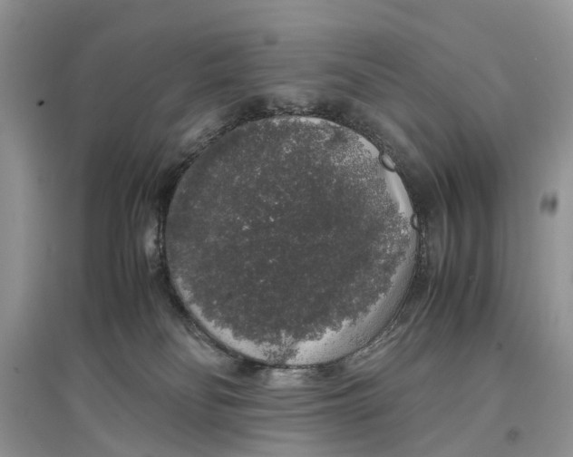 X0000097300134200803071800