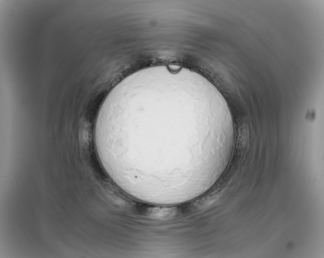 X0000097300135200803071800