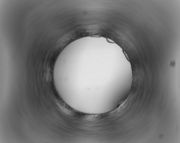 X0000097300136200803071800