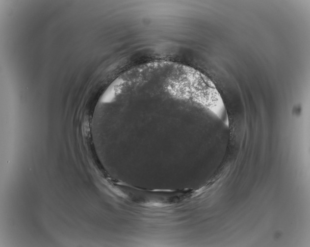 X0000097300137200803071800