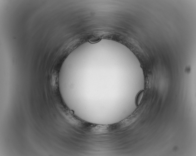 X0000097300138200803071800