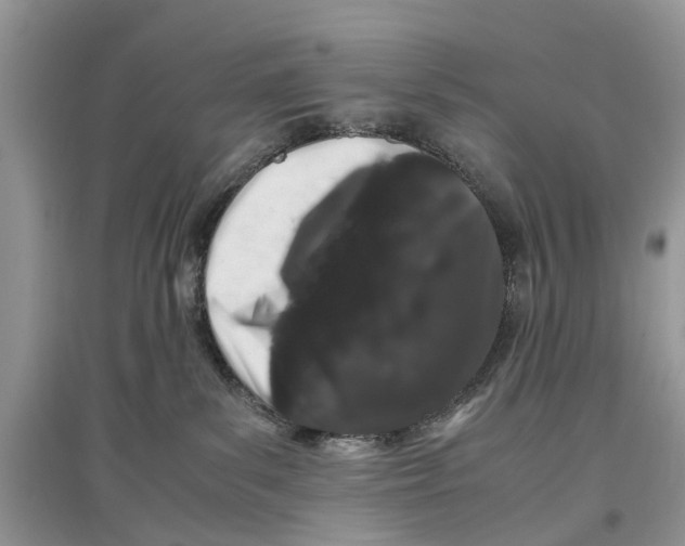 X0000097300139200803071800