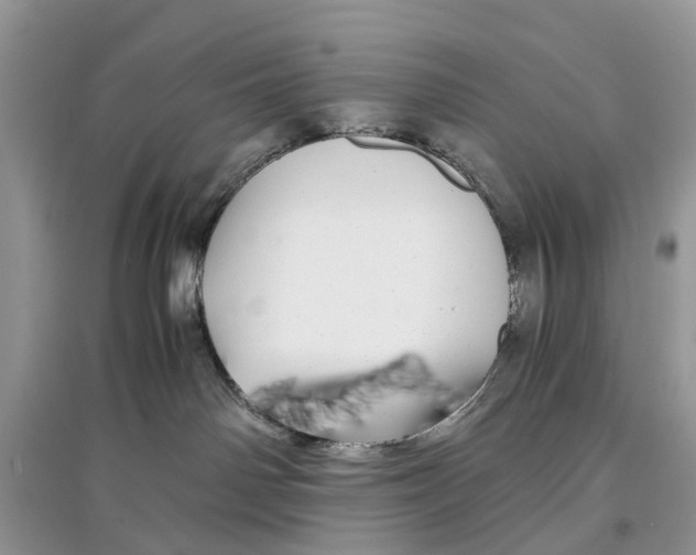 X0000097300142200803071800