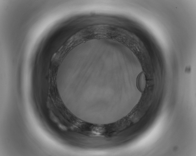 X0000097300143200803071800