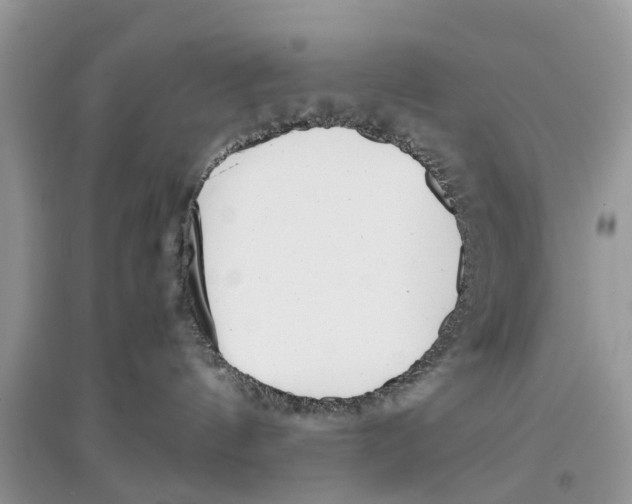 X0000097300144200803071800