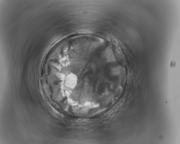 X0000097300145200803071759