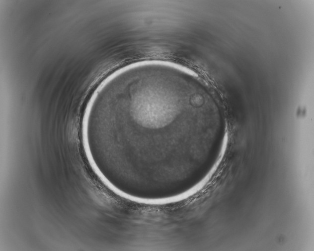 X0000097300146200803071759