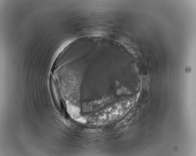 X0000097300147200803071759