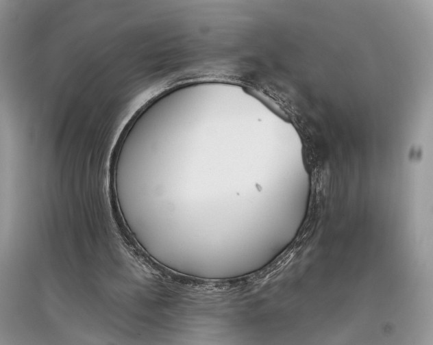 X0000097300148200803071759