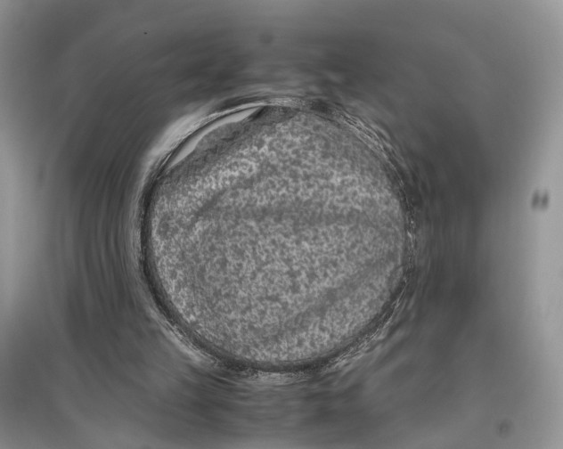 X0000097300149200803071759