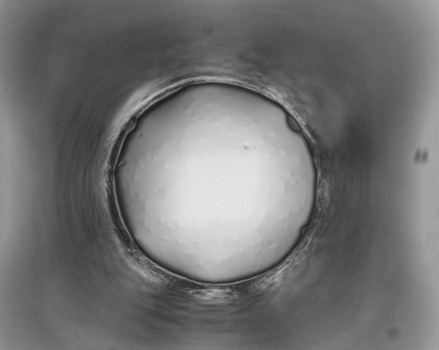 X0000097300151200803071759