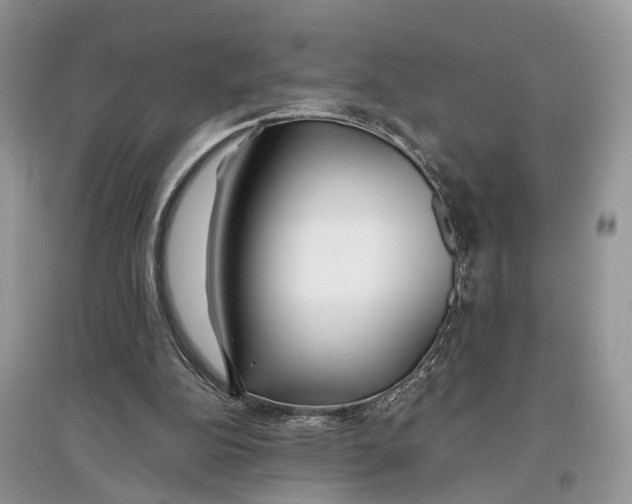 X0000097300152200803071759