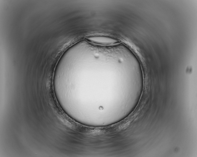 X0000097300153200803071759