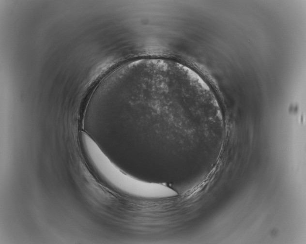 X0000097300154200803071759