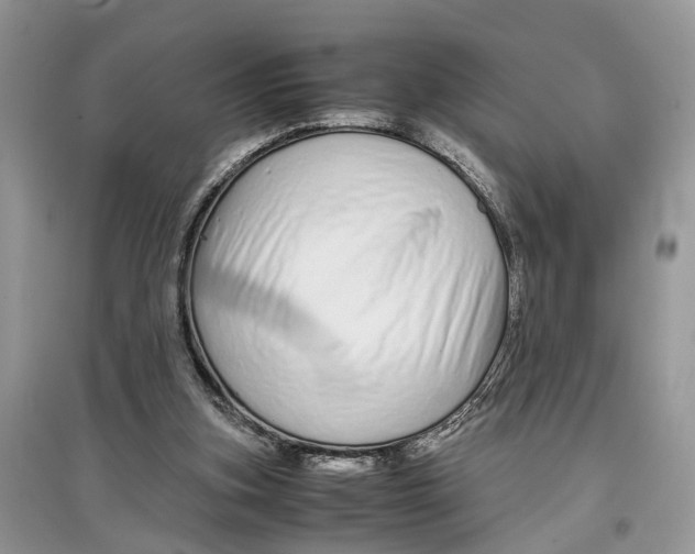 X0000097300155200803071759