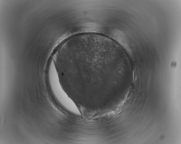 X0000097300156200803071759