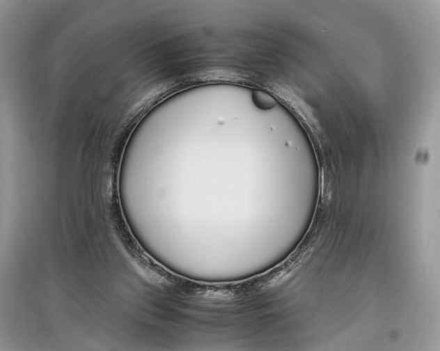 X0000097300157200803071759