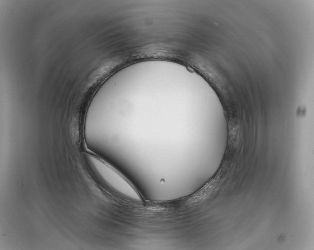 X0000097300158200803071759